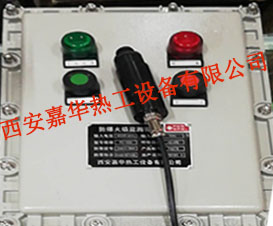 防爆火焰檢測裝置